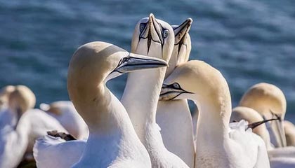 新昌高价上海医保提取2025的最新政策(2025年新昌上海医保怎么提取现金分享)